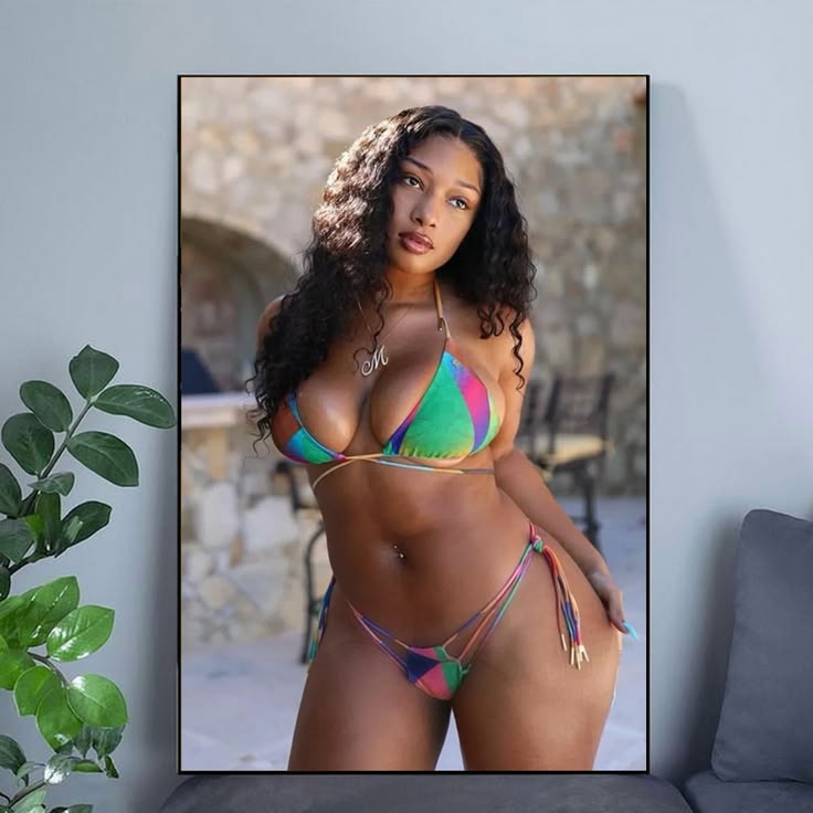 A Megan Thee Stallion Posing Poster Unframed Size 24''x36''