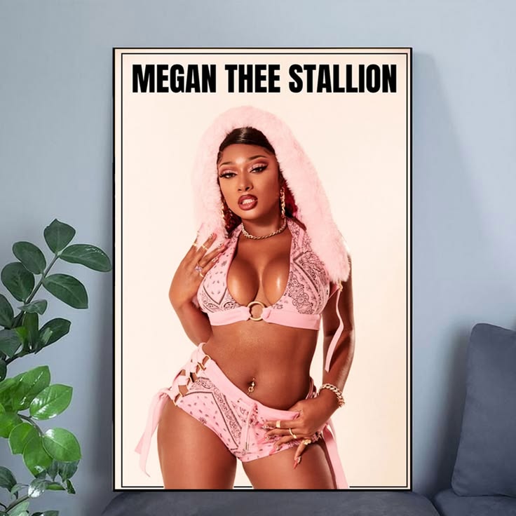 Megan Thee Stallion Pink Hood Sexy Hot Hip Hop Singer Art Poster Unframed Size 24''x36''