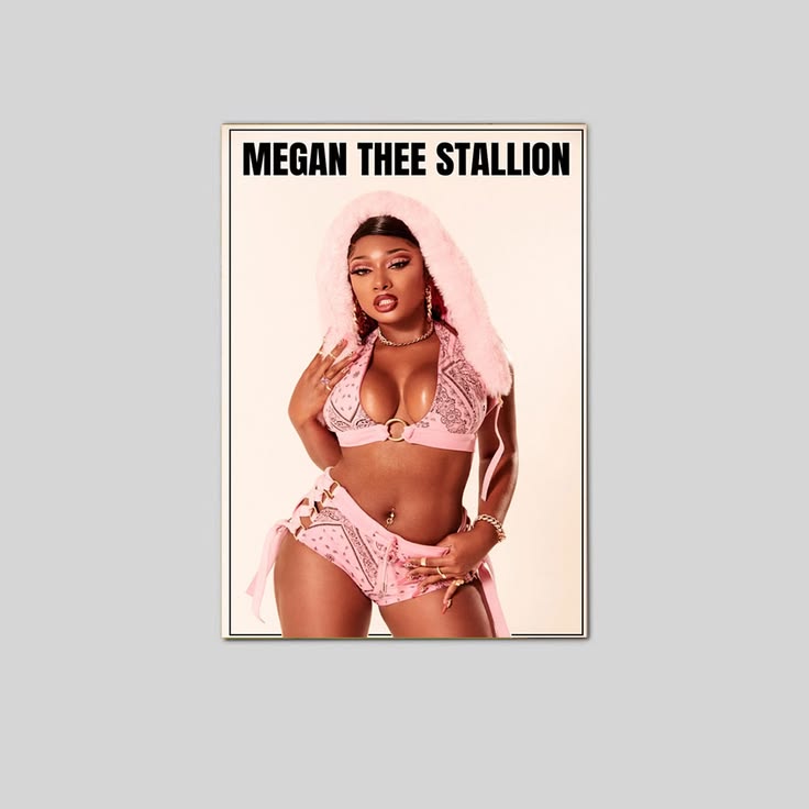 Megan Thee Stallion Pink Hood Sexy Hot Hip Hop Singer Art Poster Unframed Size 24''x36''