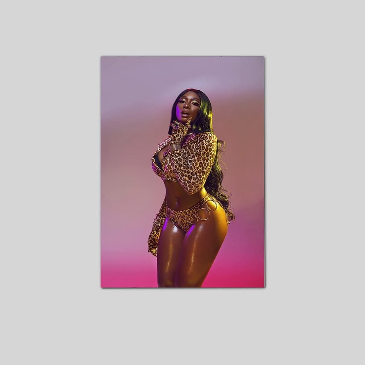 Megan Thee Stallion IMAGE Poster Unframed Size 24''x36''