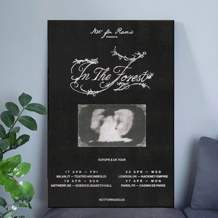 Not for Radio In The Forest EU & UK Tour 2026 Poster Unframed Size 24''x36''