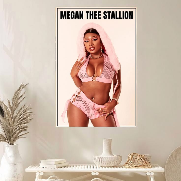 Megan Thee Stallion Pink Hood Sexy Hot Hip Hop Singer Art Poster Unframed Size 24''x36''