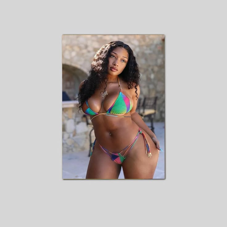 A Megan Thee Stallion Posing Poster Unframed Size 24''x36''