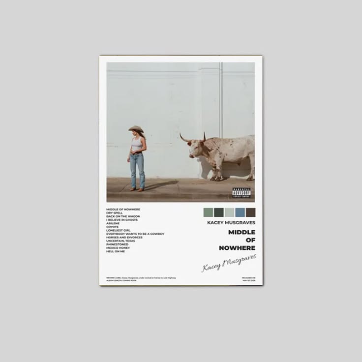 Kacey Musgraves Middle of Nowhere Album Cover Poster Wall Art Poster Unframed Size 24''x36''