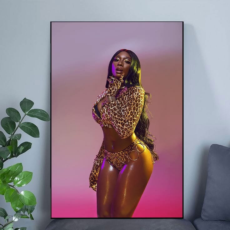 Megan Thee Stallion IMAGE Poster Unframed Size 24''x36''
