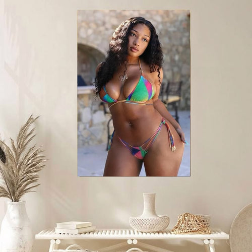 A Megan Thee Stallion Posing Poster Unframed Size 24''x36''